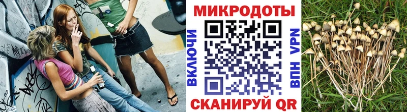 Псилоцибиновые грибы ЛСД  как найти закладки  Геленджик 